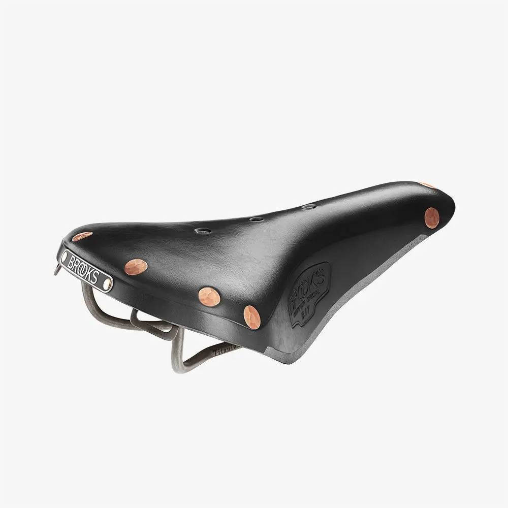 B17 Special Titanium Leather Saddle 1