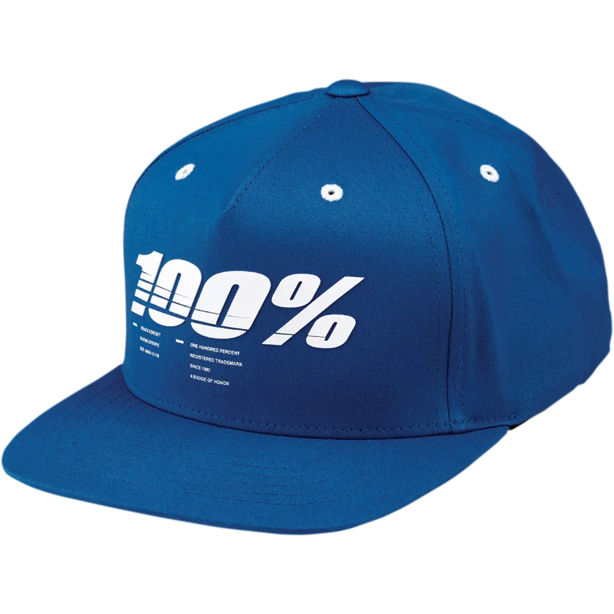 100% Drive Youth Snapback Cap (Hat) 1