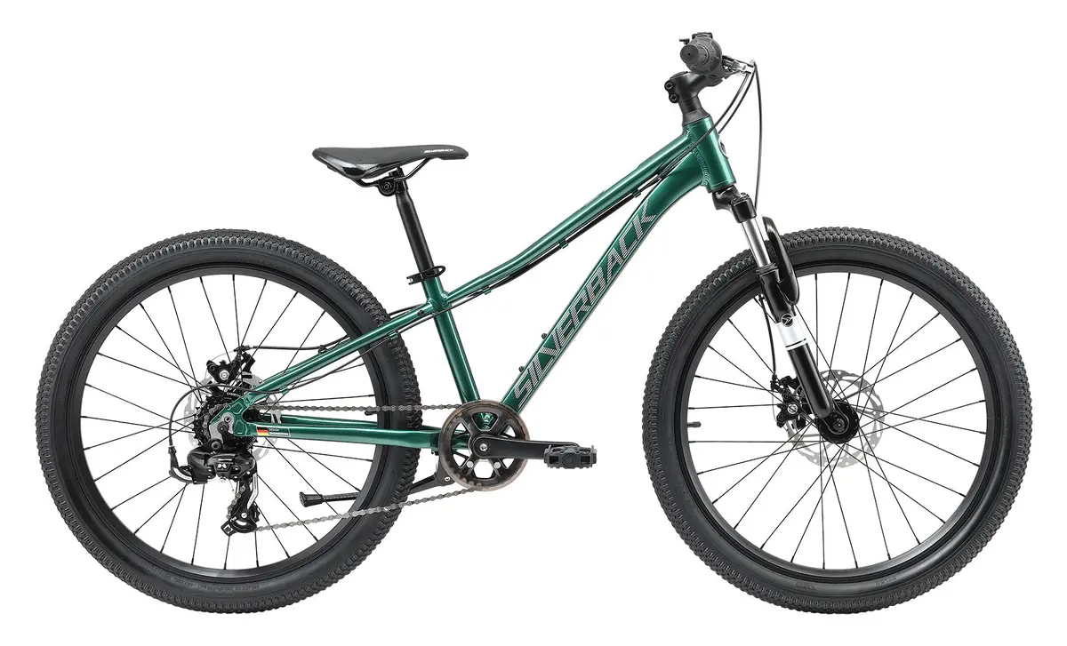 2025 Spyke 24 Disc - Gloss Emerald/Gloss Charcoal 1