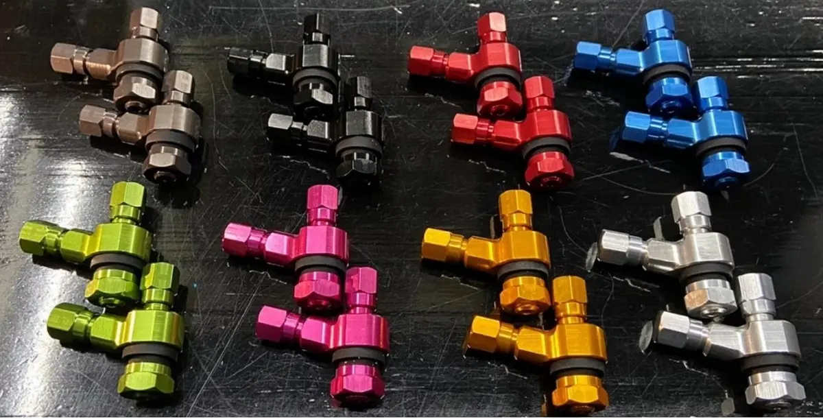 Dw Double Airvalve Pair 1
