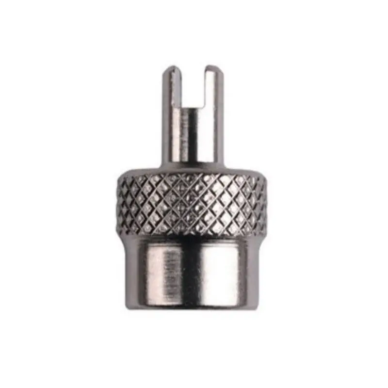 Metal Valve Dust Cap With Valve Key Sv 1