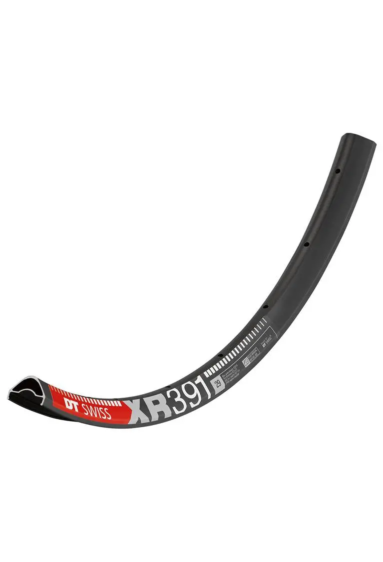 Dt Swiss - Xr 391 29" Rims 2
