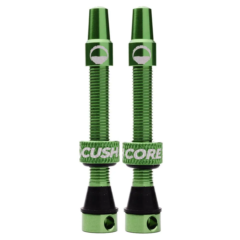 Cush Core Valves 1