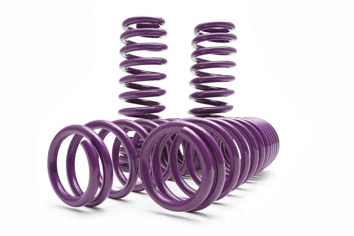 D2 Racing Lower Springs D-Sp-Hn-04 1
