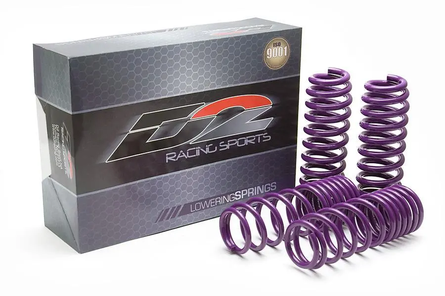 D2 Racing Lower Springs D-Sp-Hn-13 1