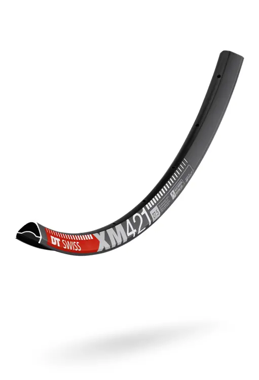 Dt Swiss -Xm 421 29" Rims 1