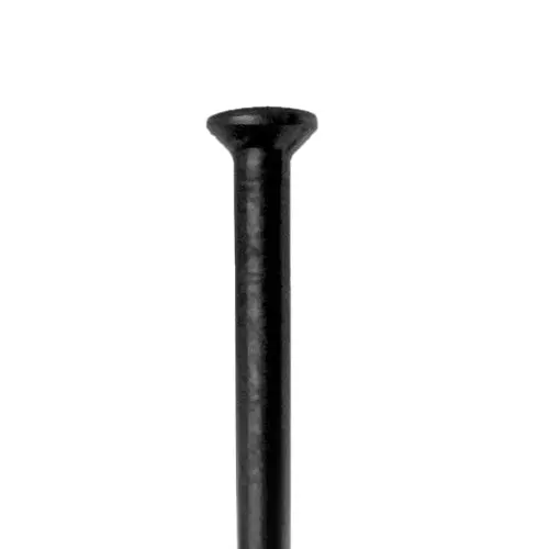 Dt Swiss - Champion Straight Pull 1