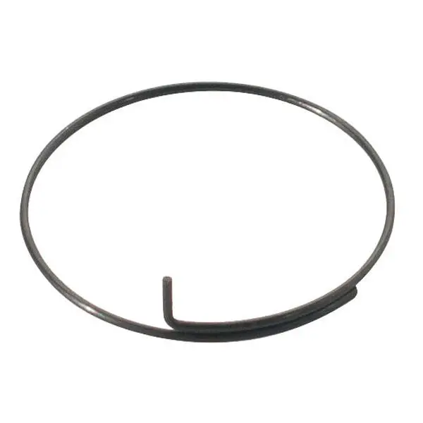 Dt Swiss - Spring For Pawl Carrier 1
