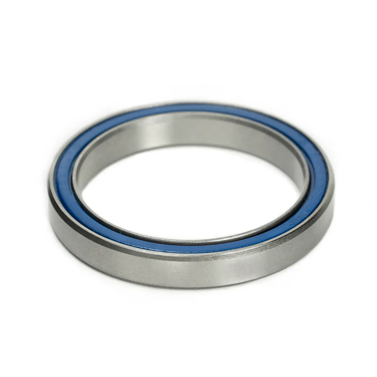 Enduro Max Radial Bearing B 543 2