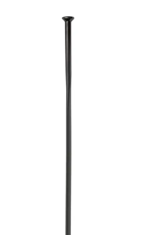 Dt Swiss - Aerolite Straightpull 1