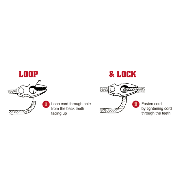 Luggage Elastics - Standard & Little Grippa 1