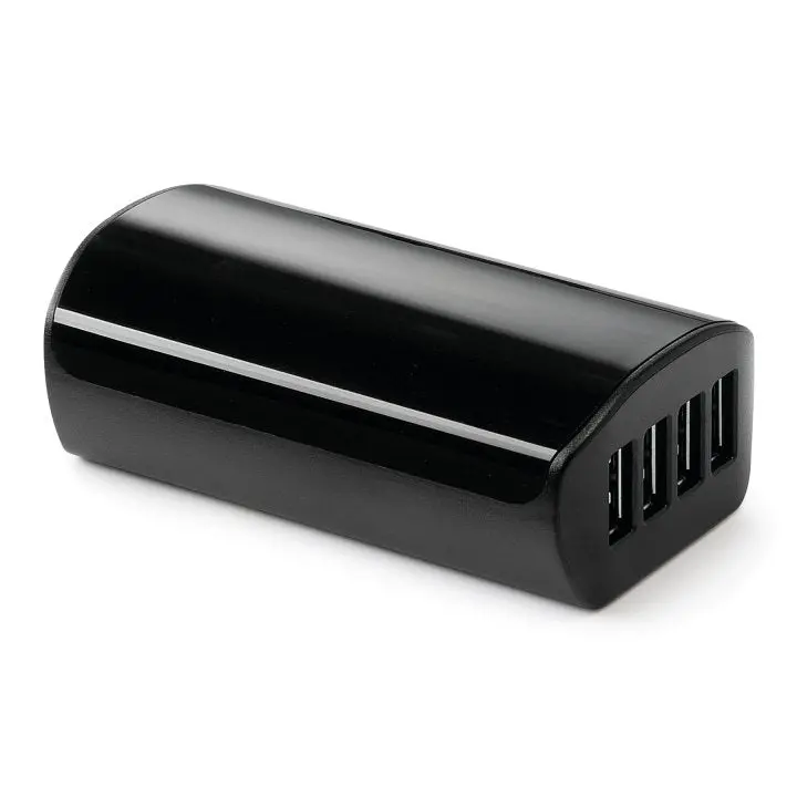 Campagnolo Wrl Battery Adapter/Charger 1
