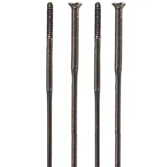 Campagnolo Spokes & Spoke Kits 1