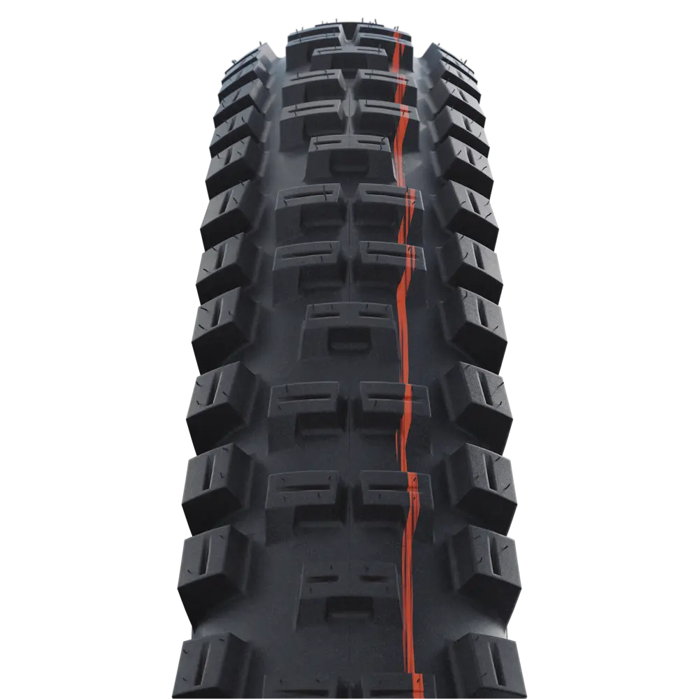 Schwalbe Tyre Big Betty 1