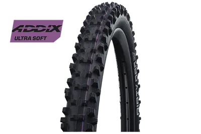 Schwalbe Tyre Dirty Dan 1