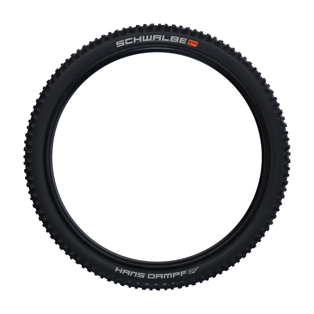 Schwalbe Tyre Hans Dampf 10