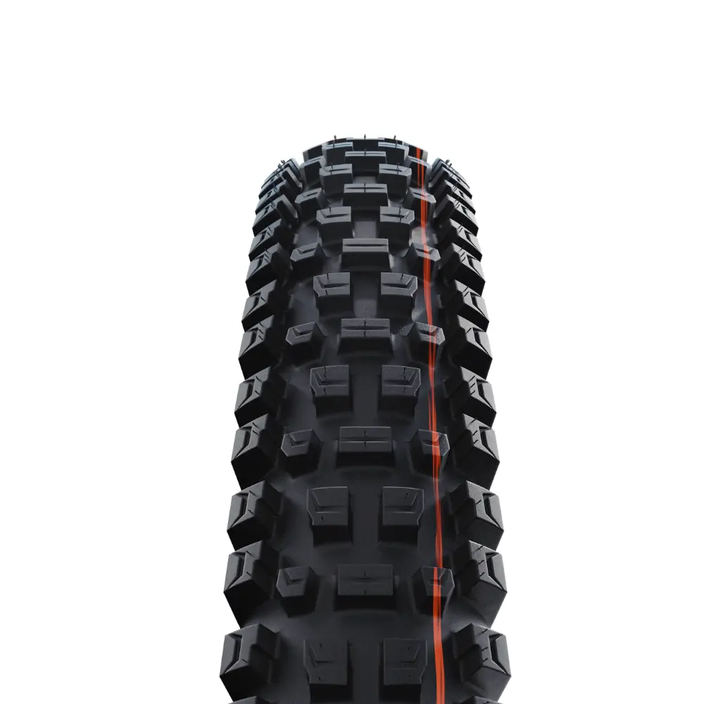 Schwalbe Tyre Albert Radial 2