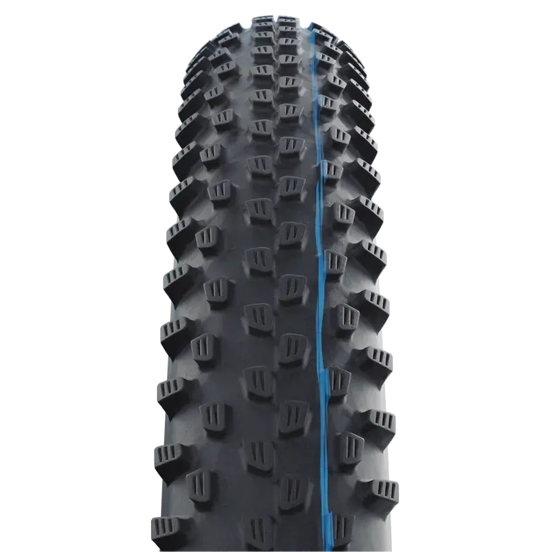 Schwalbe Tyre Racing Ray 6