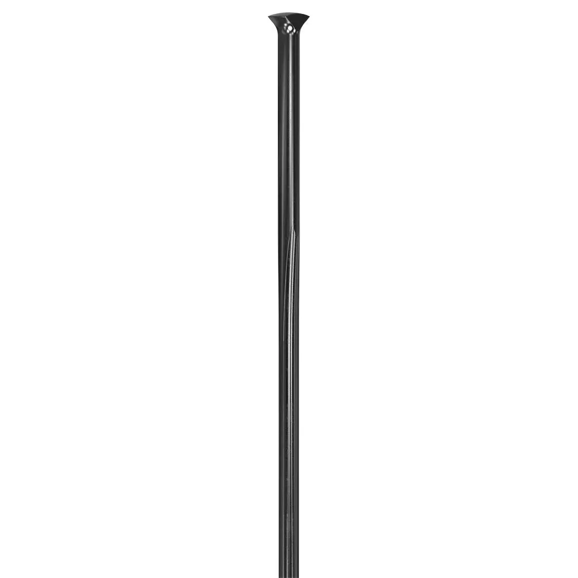 Dt Swiss - Revolite T-Head Spokes 1