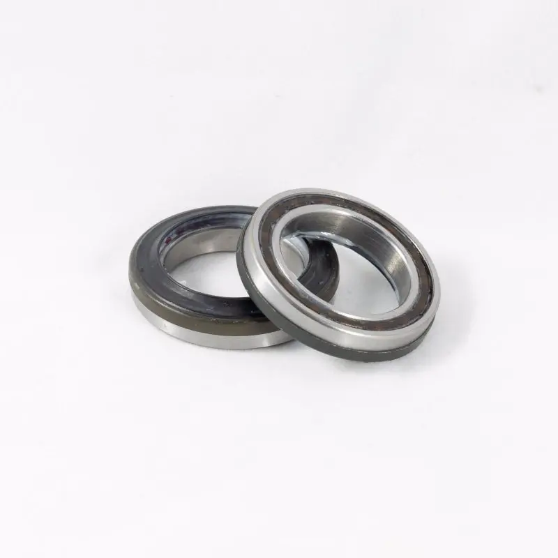 Campagnolo Pro-Tech Bb Bearing Kit 1
