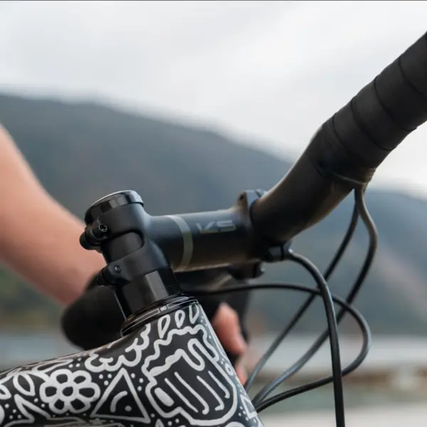 Ks Ether Gravel Stem 1